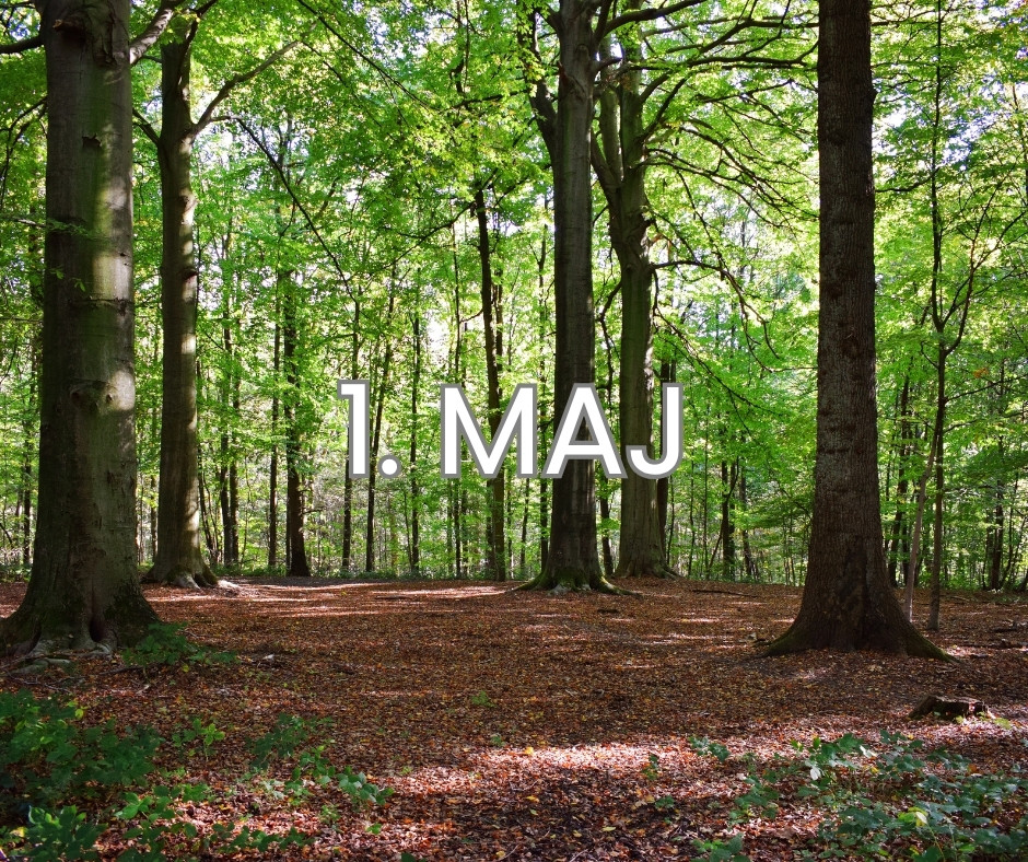 Први мај, међународни празник рада